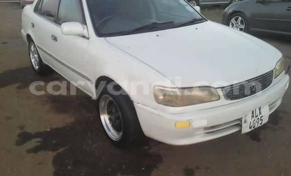 Tenga Tsaru Toyota Corolla Chena Mota in Lusaka in Zambia Tenga Tsaru Toyota Corolla Chena Mota in Lusaka in Zambia