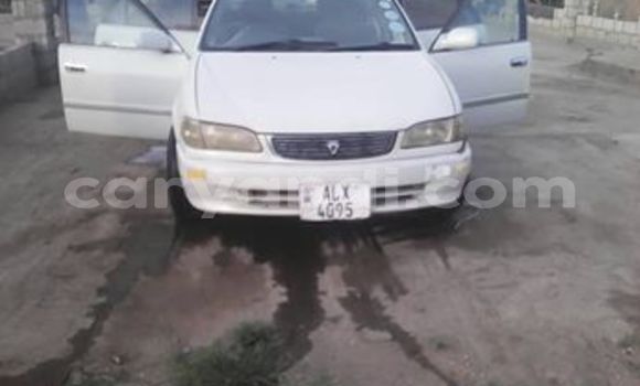 Tenga Tsaru Toyota Corolla Chena Mota in Lusaka in Zambia Tenga Tsaru Toyota Corolla Chena Mota in Lusaka in Zambia