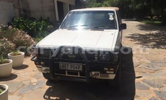 Tenga Tsaru Nissan Hardbody Chena Mota in Lusaka in Zambia Tenga Tsaru Nissan Hardbody Chena Mota in Lusaka in Zambia