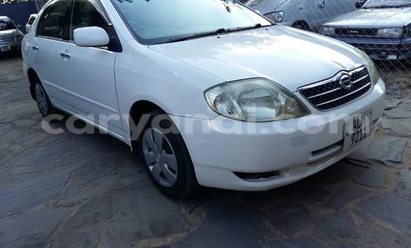 Tenga Tsaru Toyota Corolla Chena Mota in Lusaka in Zambia Tenga Tsaru Toyota Corolla Chena Mota in Lusaka in Zambia