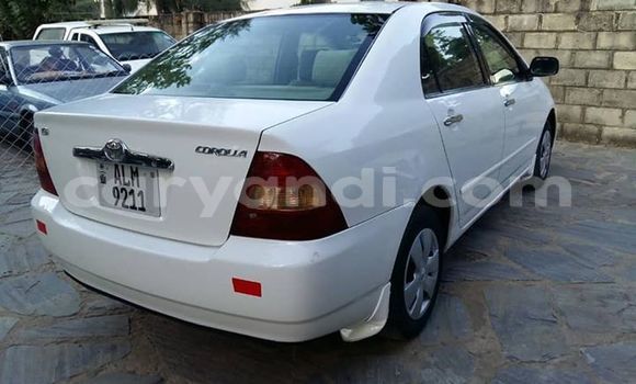 Tenga Tsaru Toyota Corolla Chena Mota in Lusaka in Zambia Tenga Tsaru Toyota Corolla Chena Mota in Lusaka in Zambia