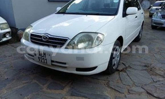 Tenga Tsaru Toyota Corolla Chena Mota in Lusaka in Zambia Tenga Tsaru Toyota Corolla Chena Mota in Lusaka in Zambia
