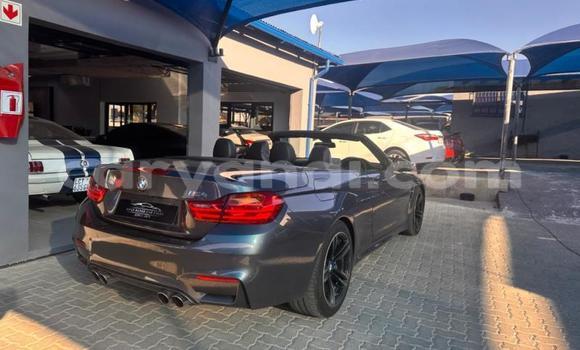 Buy Used BMW M4 Other Car in Lusaka in Zambia Buy Used BMW M4 Other Car in Lusaka in Zambia