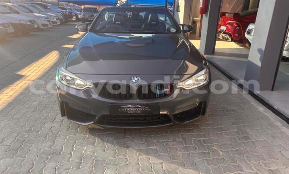 Buy Used BMW M4 Other Car in Lusaka in Zambia Buy Used BMW M4 Other Car in Lusaka in Zambia