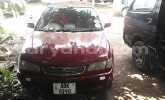 Tenga Tsaru Toyota Corolla Tsvuku Mota in Lusaka in Zambia Tenga Tsaru Toyota Corolla Tsvuku Mota in Lusaka in Zambia