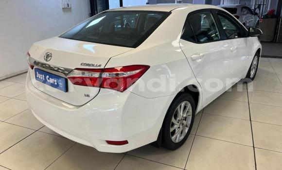Buy Used Toyota Corolla White Car in Kitwe in Zambia Buy Used Toyota Corolla White Car in Kitwe in Zambia