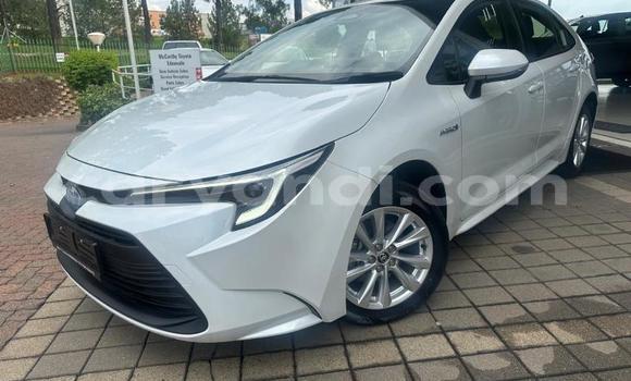 Buy Used Toyota Corolla White Car in Lusaka in Zambia Buy Used Toyota Corolla White Car in Lusaka in Zambia