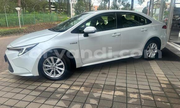 Acheter Occasion Voiture Toyota Corolla Blanc à Lusaka, Zambie Acheter Occasion Voiture Toyota Corolla Blanc à Lusaka, Zambie