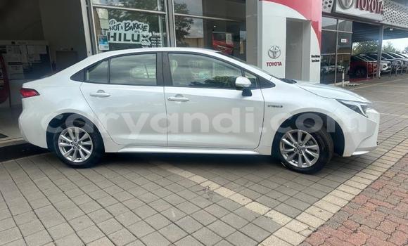 Acheter Occasion Voiture Toyota Corolla Blanc à Lusaka, Zambie Acheter Occasion Voiture Toyota Corolla Blanc à Lusaka, Zambie