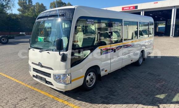 Buy Used Toyota Coaster White Car in Kitwe in Zambia