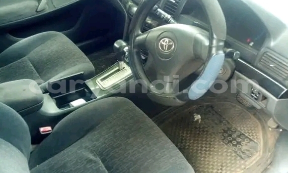 Tenga Tsaru Toyota Allion Chena Mota in Lusaka in Zambia Tenga Tsaru Toyota Allion Chena Mota in Lusaka in Zambia