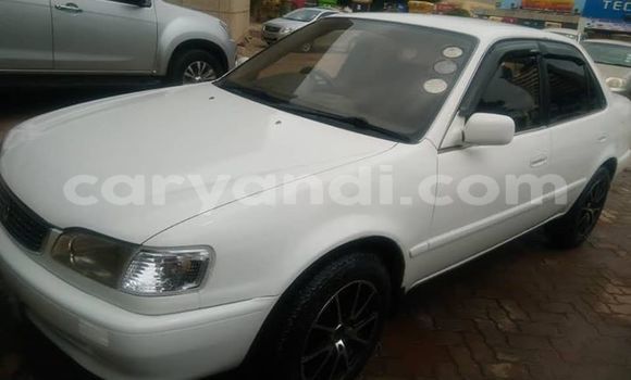 Tenga Tsaru Toyota Corolla Chena Mota in Lusaka in Zambia Tenga Tsaru Toyota Corolla Chena Mota in Lusaka in Zambia