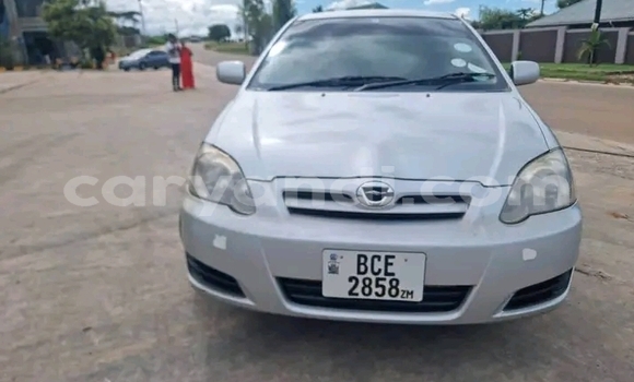Acheter Occasion Voiture Toyota Runx Autre à Lusaka, Zambie Acheter Occasion Voiture Toyota Runx Autre à Lusaka, Zambie