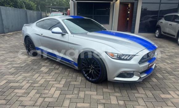 Buy Used Ford Mustang Silver Car in Kitwe in Zambia