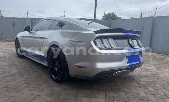 Tenga Tsaru Ford Mustang Sirivha Mota in Kitwe in Zambia Tenga Tsaru Ford Mustang Sirivha Mota in Kitwe in Zambia