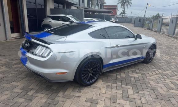 Tenga Tsaru Ford Mustang Sirivha Mota in Kitwe in Zambia Tenga Tsaru Ford Mustang Sirivha Mota in Kitwe in Zambia