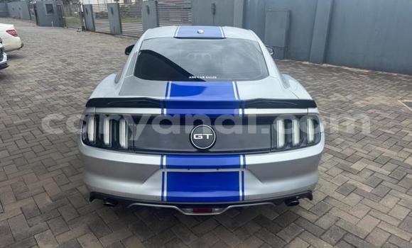 Tenga Tsaru Ford Mustang Sirivha Mota in Kitwe in Zambia Tenga Tsaru Ford Mustang Sirivha Mota in Kitwe in Zambia