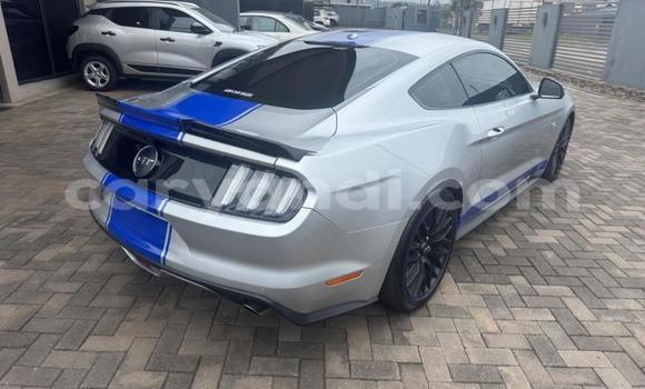 Tenga Tsaru Ford Mustang Sirivha Mota in Kitwe in Zambia Tenga Tsaru Ford Mustang Sirivha Mota in Kitwe in Zambia