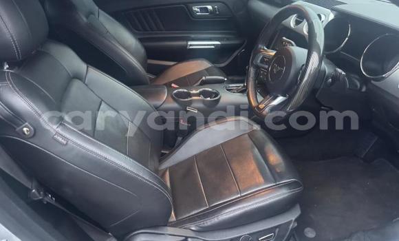 Tenga Tsaru Ford Mustang Sirivha Mota in Kitwe in Zambia Tenga Tsaru Ford Mustang Sirivha Mota in Kitwe in Zambia