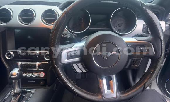 Tenga Tsaru Ford Mustang Sirivha Mota in Kitwe in Zambia Tenga Tsaru Ford Mustang Sirivha Mota in Kitwe in Zambia