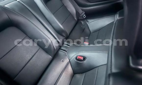 Tenga Tsaru Ford Mustang Sirivha Mota in Kitwe in Zambia Tenga Tsaru Ford Mustang Sirivha Mota in Kitwe in Zambia