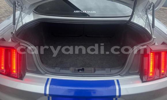 Tenga Tsaru Ford Mustang Sirivha Mota in Kitwe in Zambia Tenga Tsaru Ford Mustang Sirivha Mota in Kitwe in Zambia