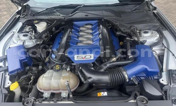 Tenga Tsaru Ford Mustang Sirivha Mota in Kitwe in Zambia Tenga Tsaru Ford Mustang Sirivha Mota in Kitwe in Zambia