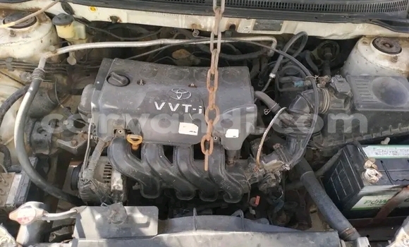 Acheter Occasion Voiture Toyota Allex Blanc à Lusaka, Zambie Acheter Occasion Voiture Toyota Allex Blanc à Lusaka, Zambie