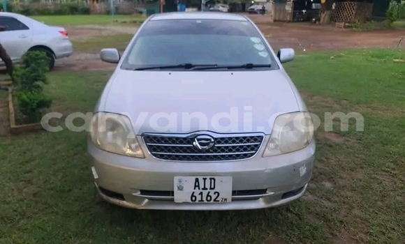 Acheter Occasion Voiture Toyota Corolla Autre à Kalomo, Du sud Acheter Occasion Voiture Toyota Corolla Autre à Kalomo, Du sud