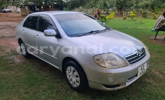 Acheter Occasion Voiture Toyota Corolla Autre à Kalomo, Du sud Acheter Occasion Voiture Toyota Corolla Autre à Kalomo, Du sud