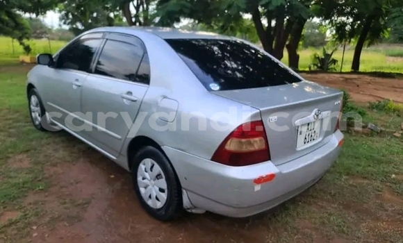 Acheter Occasion Voiture Toyota Corolla Autre à Kalomo, Du sud Acheter Occasion Voiture Toyota Corolla Autre à Kalomo, Du sud