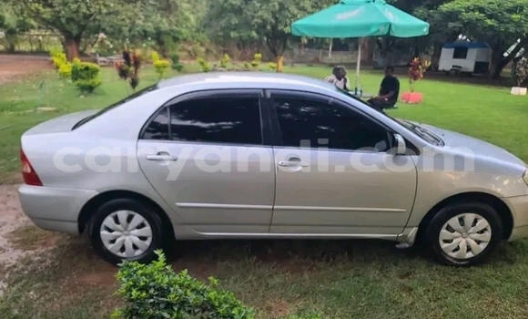 Acheter Occasion Voiture Toyota Corolla Autre à Kalomo, Du sud Acheter Occasion Voiture Toyota Corolla Autre à Kalomo, Du sud