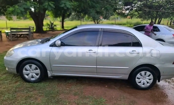 Acheter Occasion Voiture Toyota Corolla Autre à Kalomo, Du sud Acheter Occasion Voiture Toyota Corolla Autre à Kalomo, Du sud