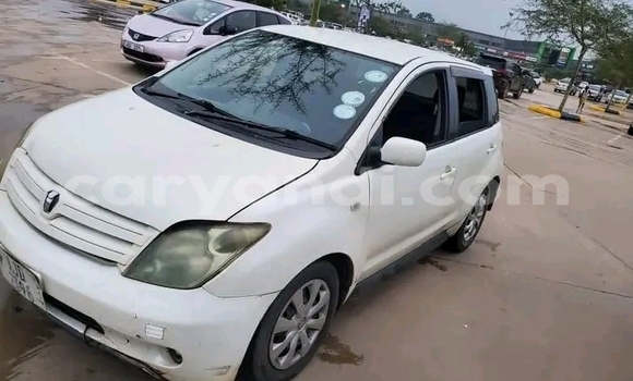 Acheter Occasion Voiture Toyota IST Blanc à Kaoma, Occidental