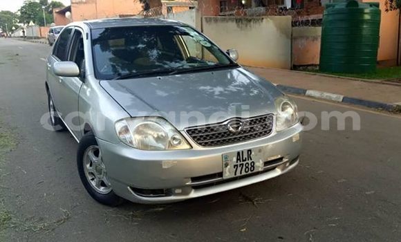 Buy Used Toyota Corolla Silver Car in Lusaka in Zambia Buy Used Toyota Corolla Silver Car in Lusaka in Zambia