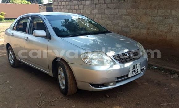 Buy Used Toyota Corolla Silver Car in Lusaka in Zambia Buy Used Toyota Corolla Silver Car in Lusaka in Zambia