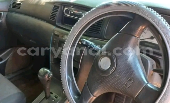 Acheter Occasion Voiture Toyota Runx Autre à Choma, Du sud Acheter Occasion Voiture Toyota Runx Autre à Choma, Du sud