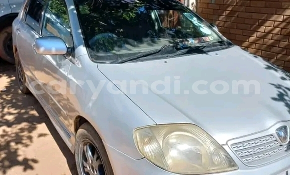 Acheter Occasion Voiture Toyota Runx Autre à Choma, Du sud Acheter Occasion Voiture Toyota Runx Autre à Choma, Du sud