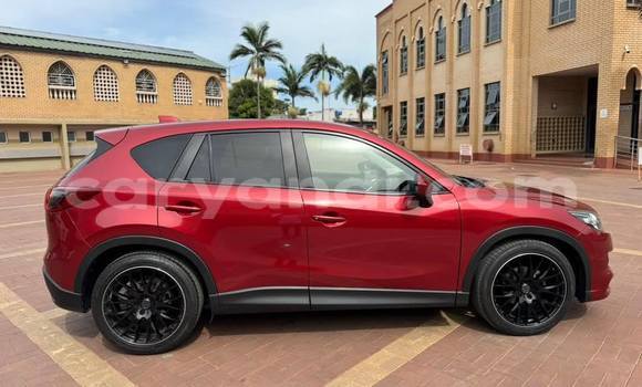 Buy Used Mazda CX-5 Red Car in Lusaka in Zambia
