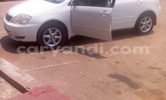 Buy Used Toyota Runx White Car in Kitwe in Zambia Buy Used Toyota Runx White Car in Kitwe in Zambia