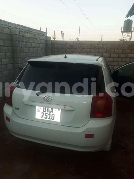 Big with watermark 55692746 2046183115508270 1663119114920525824 n