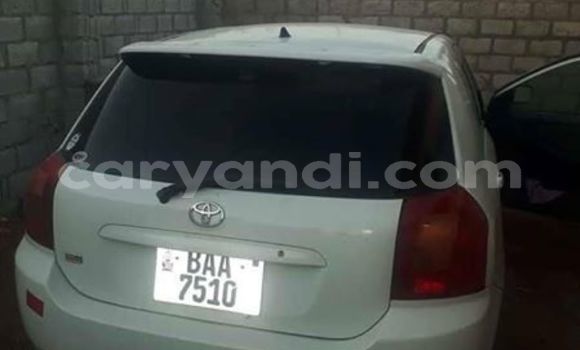 Buy Used Toyota Runx White Car in Kitwe in Zambia Buy Used Toyota Runx White Car in Kitwe in Zambia