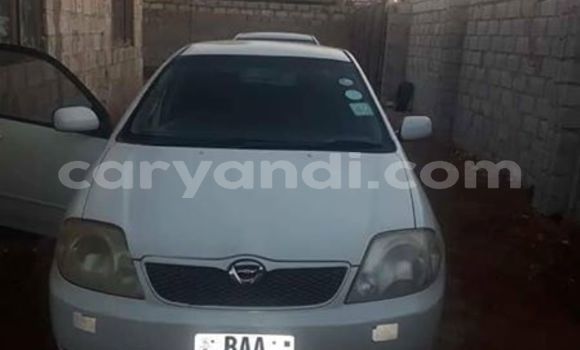 Buy Used Toyota Runx White Car in Kitwe in Zambia Buy Used Toyota Runx White Car in Kitwe in Zambia