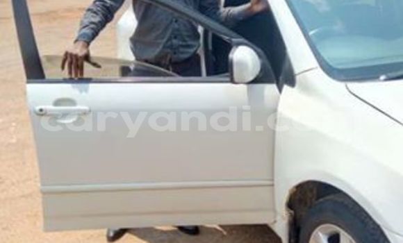 Buy Used Toyota Runx White Car in Kitwe in Zambia Buy Used Toyota Runx White Car in Kitwe in Zambia