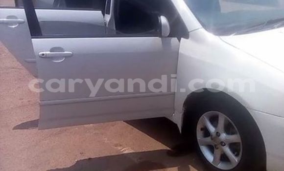 Buy Used Toyota Runx White Car in Kitwe in Zambia Buy Used Toyota Runx White Car in Kitwe in Zambia