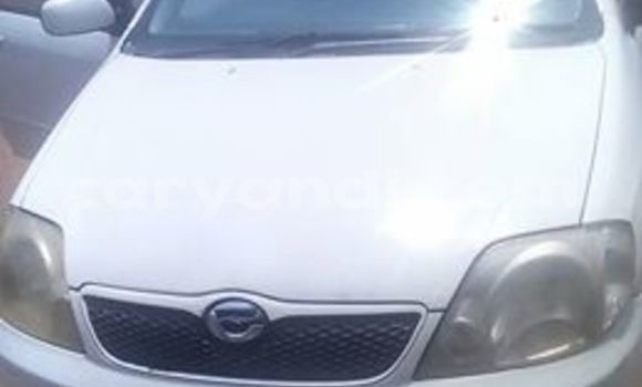 Buy Used Toyota Runx White Car in Kitwe in Zambia Buy Used Toyota Runx White Car in Kitwe in Zambia