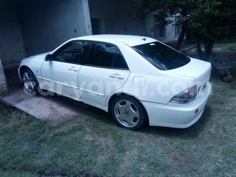 Big with watermark 55869528 2046192058840709 7172104473853034496 n