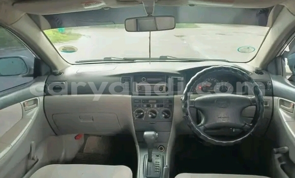 Buy Used Toyota Corolla White Car in Lusaka in Zambia
