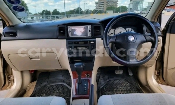 Acheter Occasion Voiture Toyota Runx Autre à Choma, Du sud Acheter Occasion Voiture Toyota Runx Autre à Choma, Du sud