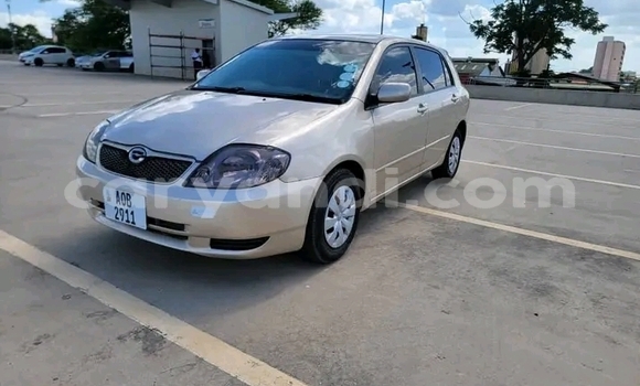 Acheter Occasion Voiture Toyota Runx Autre à Choma, Du sud Acheter Occasion Voiture Toyota Runx Autre à Choma, Du sud